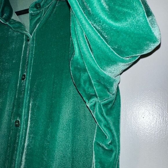 Soft Surroundings XL Green Velvet Button Down LS Collared Womens Shirt EUC - Picture 5 of 11